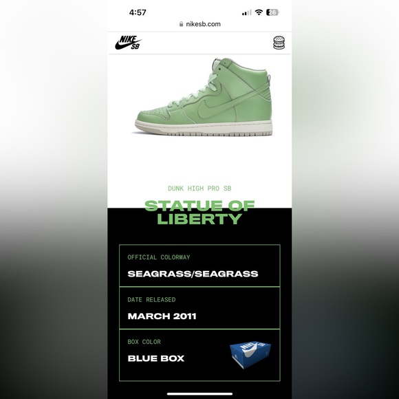 Rare Statue of Liberty Nike SB Dunk High Premium Rare 2011 - Size 8 Men’s - Picture 16 of 16